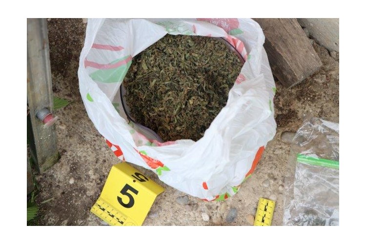 Slika /Novi direktorij/11-droga 2023 2.jpg